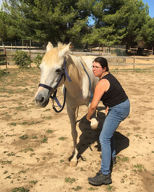 osteopathe canin vaucluse